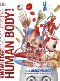 DK Knowledge Encyclopedia Human Body!