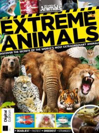 World of Animals Extreme Animals