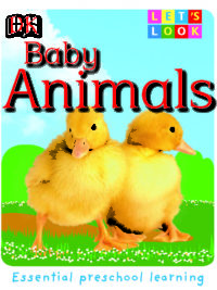 DK – Let’s Look Baby Animals