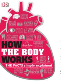 How the Body Works The Facts Simply Explained - DK Publishers