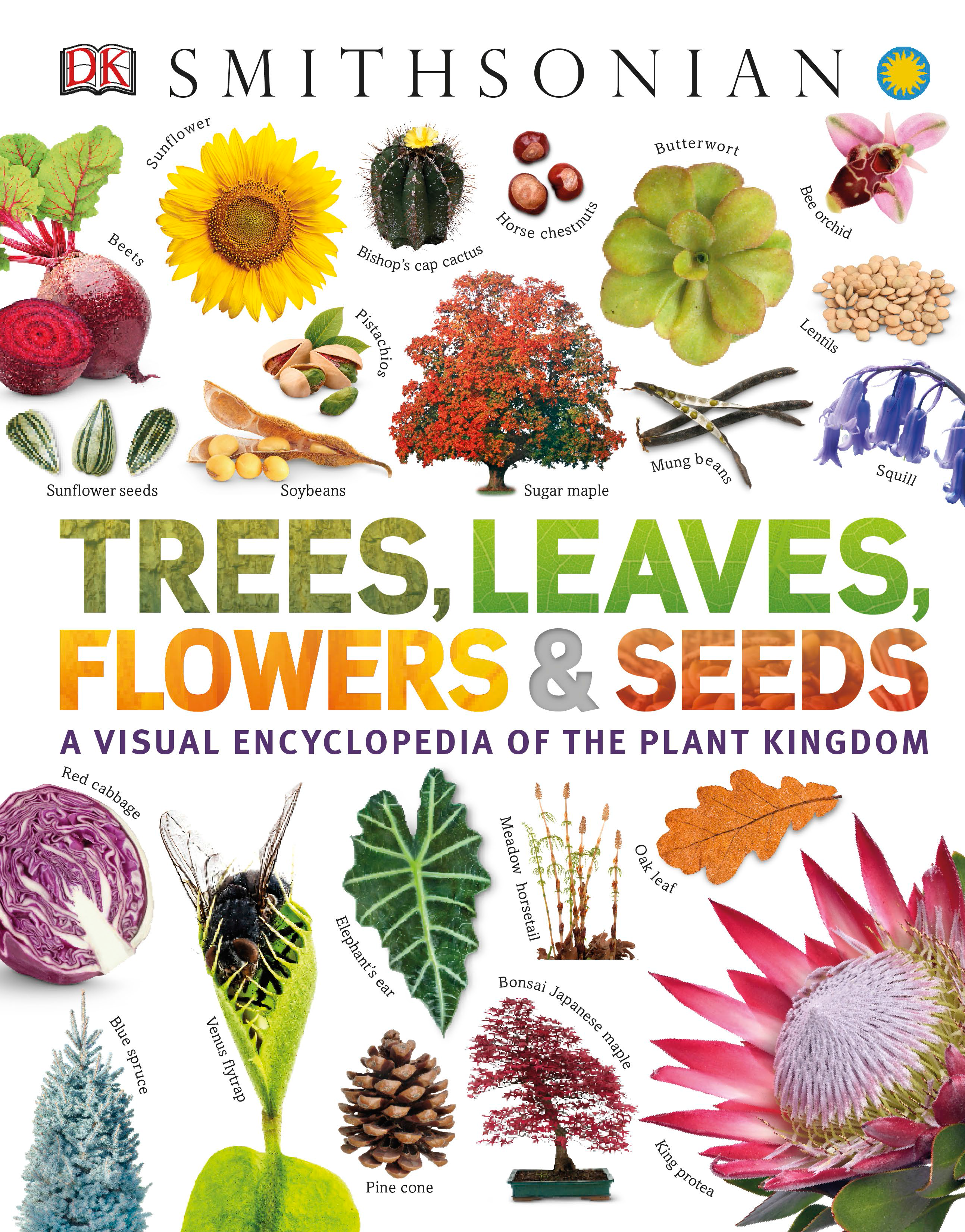 Trees, Leaves, Flowers and Seeds A Visual Encyclopedia of the Plant Kingdom (Smithsonian)