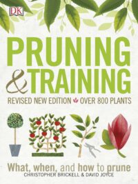 Pruning and Training What, When, and How to Prune by Christopher Brickell, David Joyce