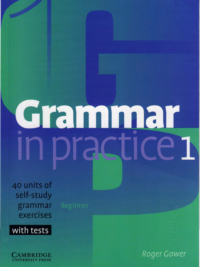 Cambridge Grammar in Practice 1 Beginner