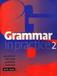 Cambridge Grammar in Practice 2 Elementary