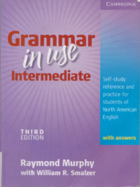Grammar in Use (Third Edition 2009) Intermediate with answers