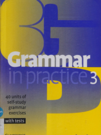 Cambridge Grammar in Practice 3 Pre-Intermediate