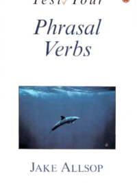 Test Your Phrasal Verbs
