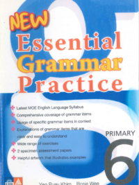 New Essential Grammar Practice Primary 6