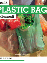 Points of View - Should PLASTICS BAGS Be Banned ?