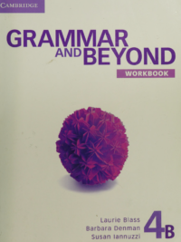 Cambridge Grammar and Beyond 4B Workbook (2012 - 1st edition)