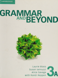 Cambridge Grammar and Beyond 3A Student's Book (2012 - 1st edition)