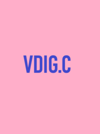 VDIG.C - Thanh toán 1 triệu được mã 1.2 triệu để sử dụng [1]