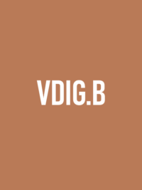 VDIG.B - Thanh toán 500k được mã 575k để sử dụng [1]