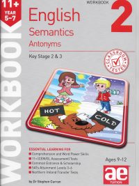 English Semantics Antonyms Workbook 2 (Key Stage 2 & 3)