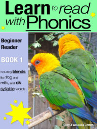 Learn to read with Phonics Beginner Reader BOOK 1