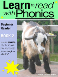 Learn to read with Phonics - Beginner Reader - Book 2