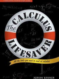 The Calculus Lifesaver: All the Tools You Need to Excel at Calculus (A Princeton Lifesaver Study Guide) (2007)