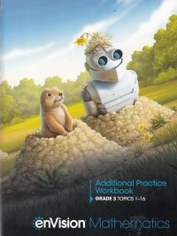 enVision Mathematics Additional Practice Workbook Grade 3 Topics 1-16