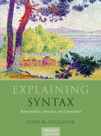 Explaining Syntax: Representations Structures and Computation (2013)