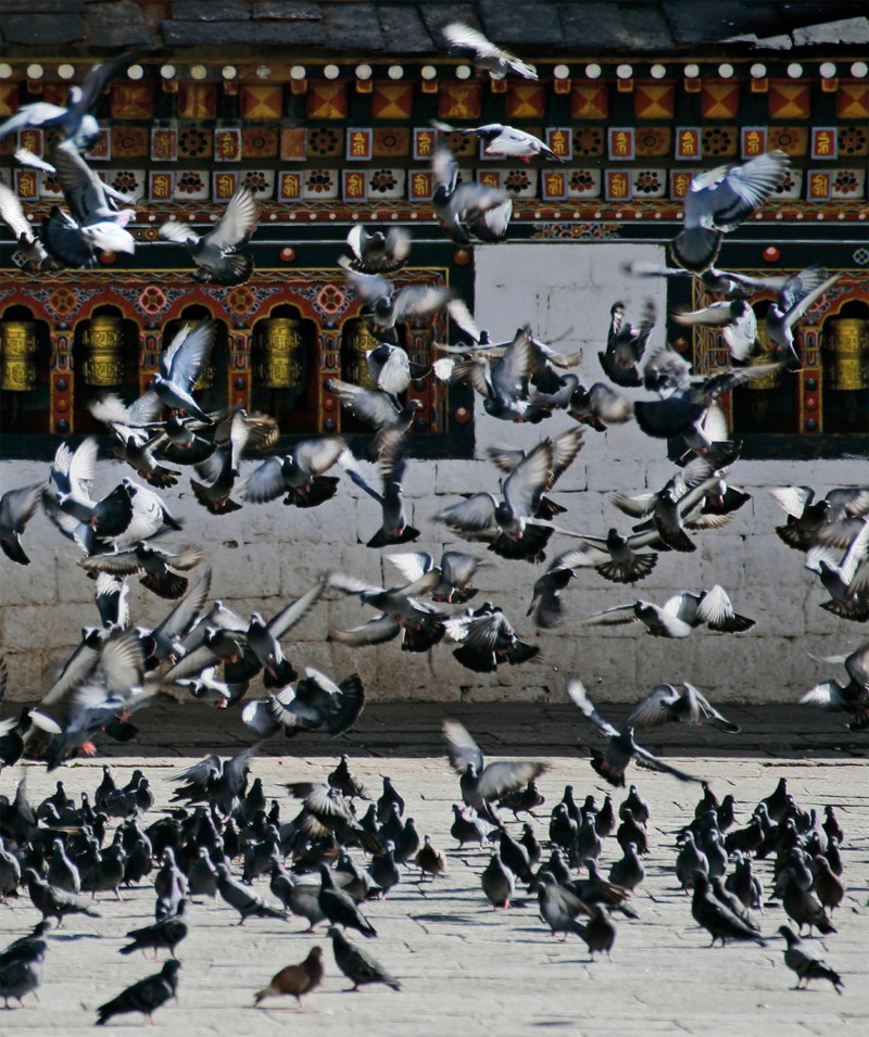 Trang nội dung tham khảo 116