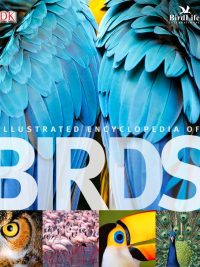 Illustrated Encyclopedia of Birds (2011)