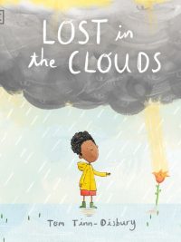Lost in the Clouds