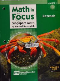 Math in Focus Singapore Math: Reteach Course 2B (Common Core) (2013)