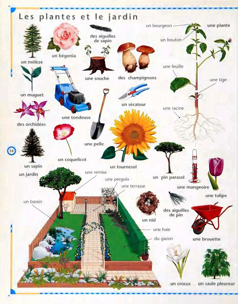 Trang nội dung tham khảo 14