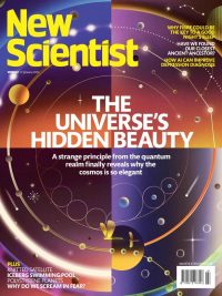 New Scientist - January 17 2026 (Vol 269 No 3578) (2026)