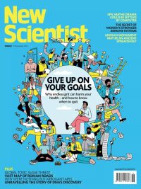 New Scientist Magazine - Issue No. 3569 (15 November 2025) (2025)