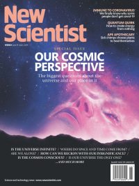 New Scientist - Special Issue: Our Cosmic Perspective (June 29 - July 5 2024 Vol 262 No 3497) (2024)