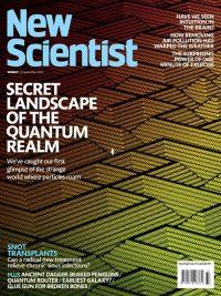 New Scientist Weekly - 13 September 2025 (Vol 267 No 3560) (2025)