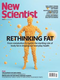 New Scientist Weekly 22 November 2025: Rethinking Fat (Vol 268 No 3570) (2025)