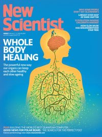 New Scientist Weekly Issue No. 3581 (February 7 2026) - Whole Body Healing (2026)