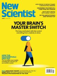 New Scientist Weekly No 3512 (12 October 2024): Your Brain's Master Switch (2024)
