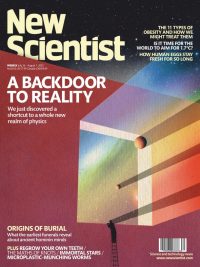 New Scientist Weekly (Vol 267 No 3553) - July 26 2025 (2025)