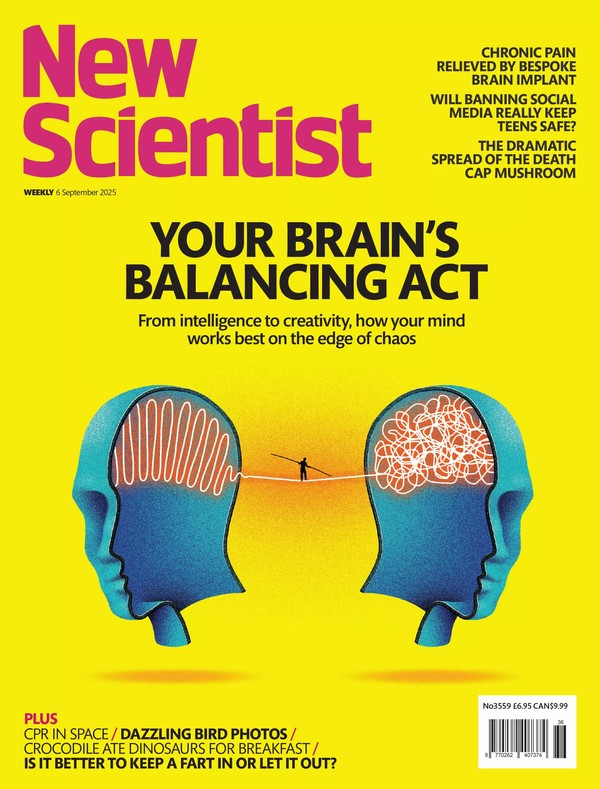 New Scientist Weekly - Vol 267 No 3559 (6 September 2025) (2025)