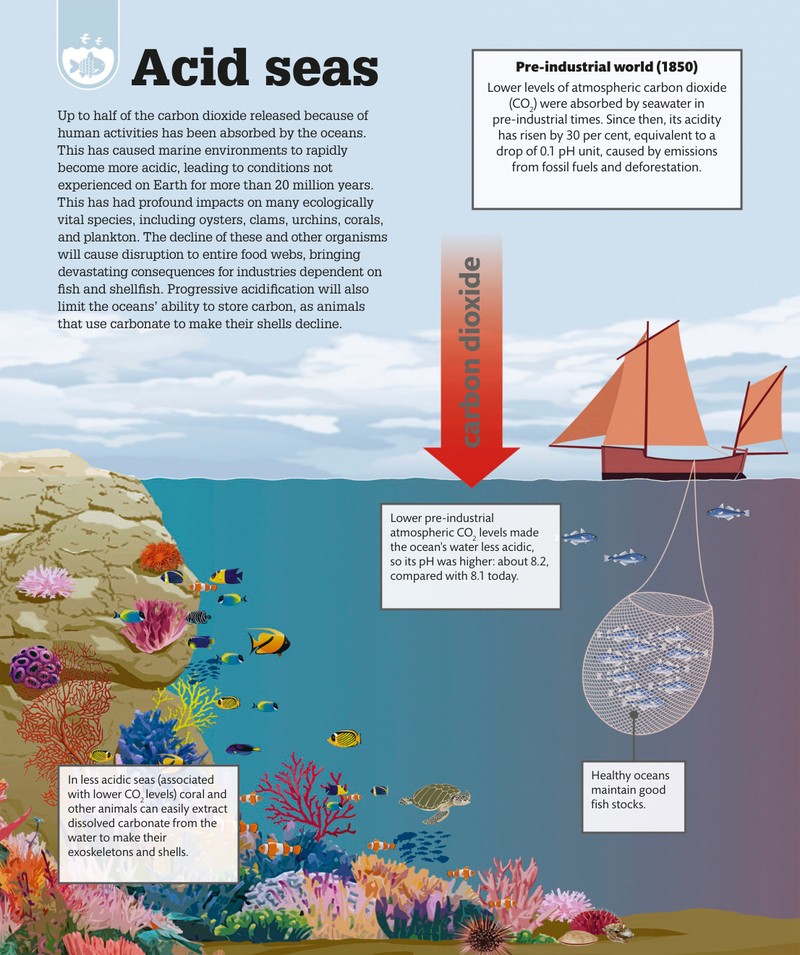 Trang nội dung tham khảo 161