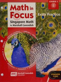 Math in Focus: Singapore Math Extra Practice Course 1B (2012)