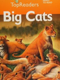 TopReaders Stage 1 Ready to Read: Big Cats