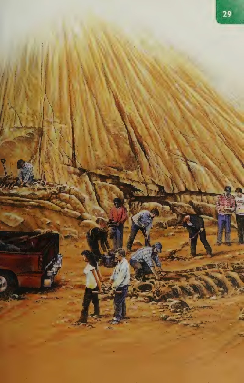 Trang nội dung tham khảo 30