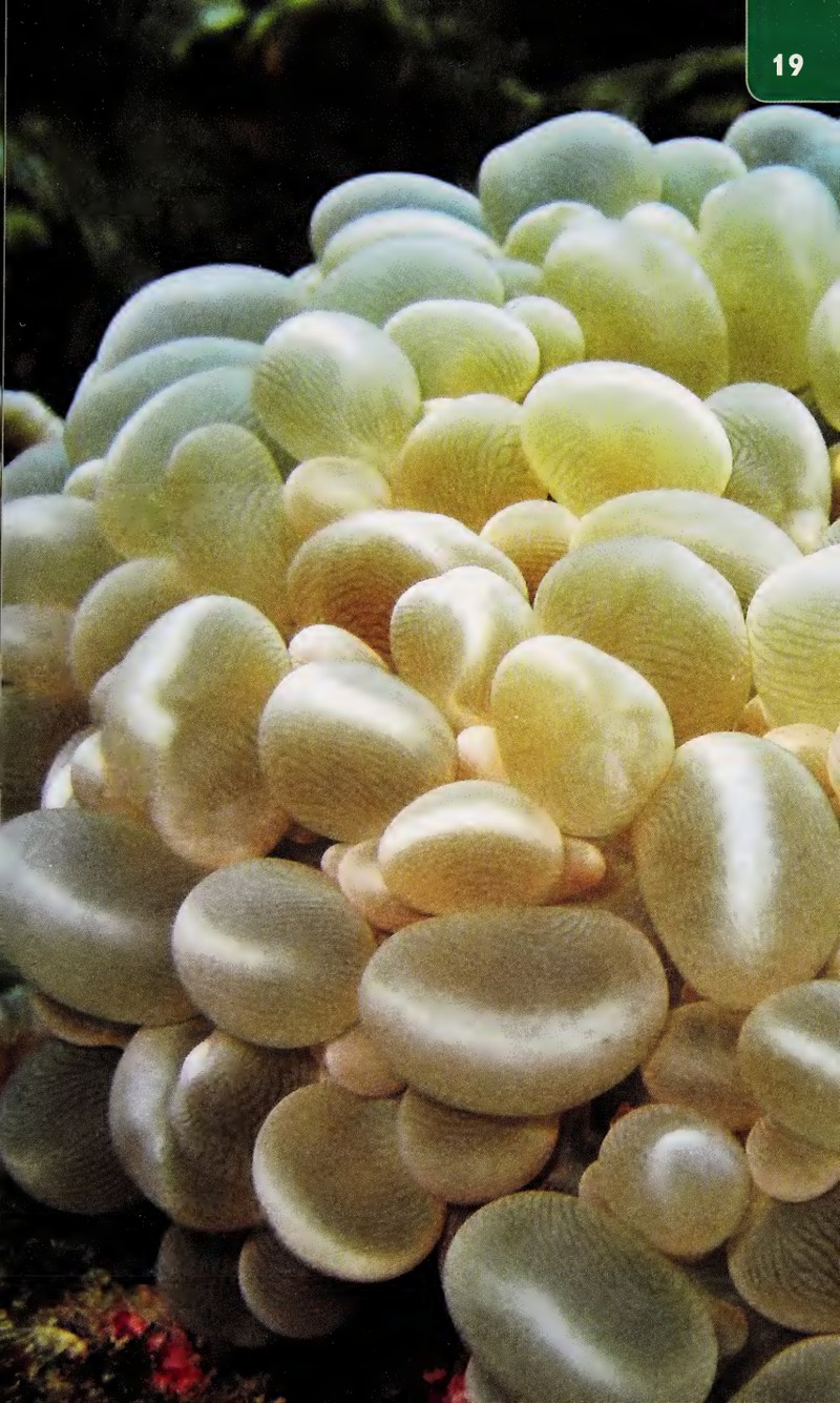 Trang nội dung tham khảo 20