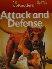 TopReaders Stage 4: Attack and Defense